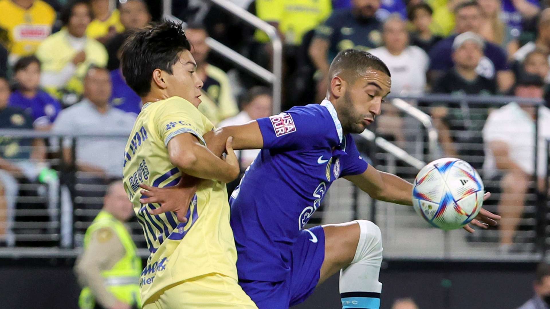 体育的热爱 体育的热爱