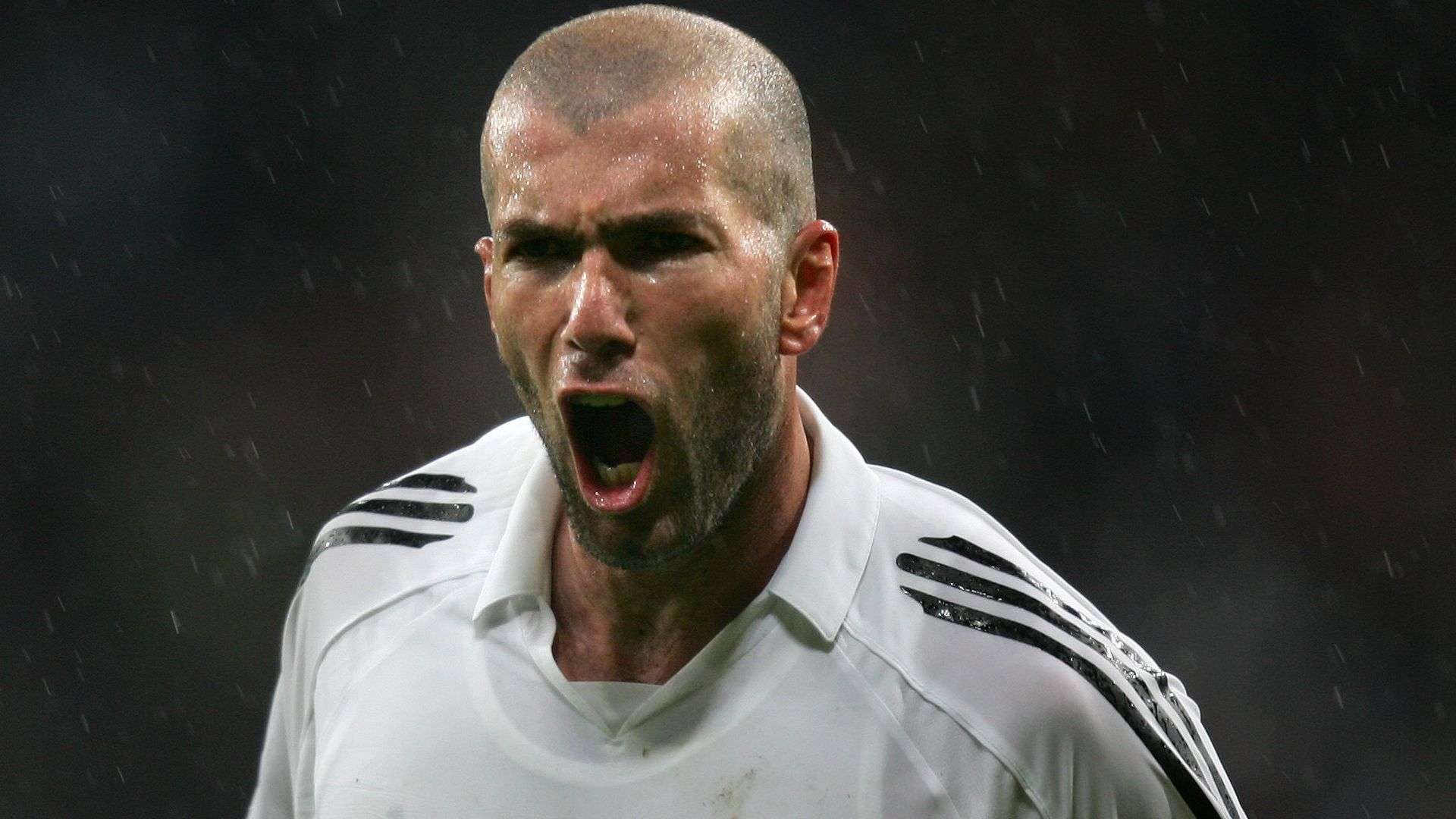 正是他们的 正是他们的