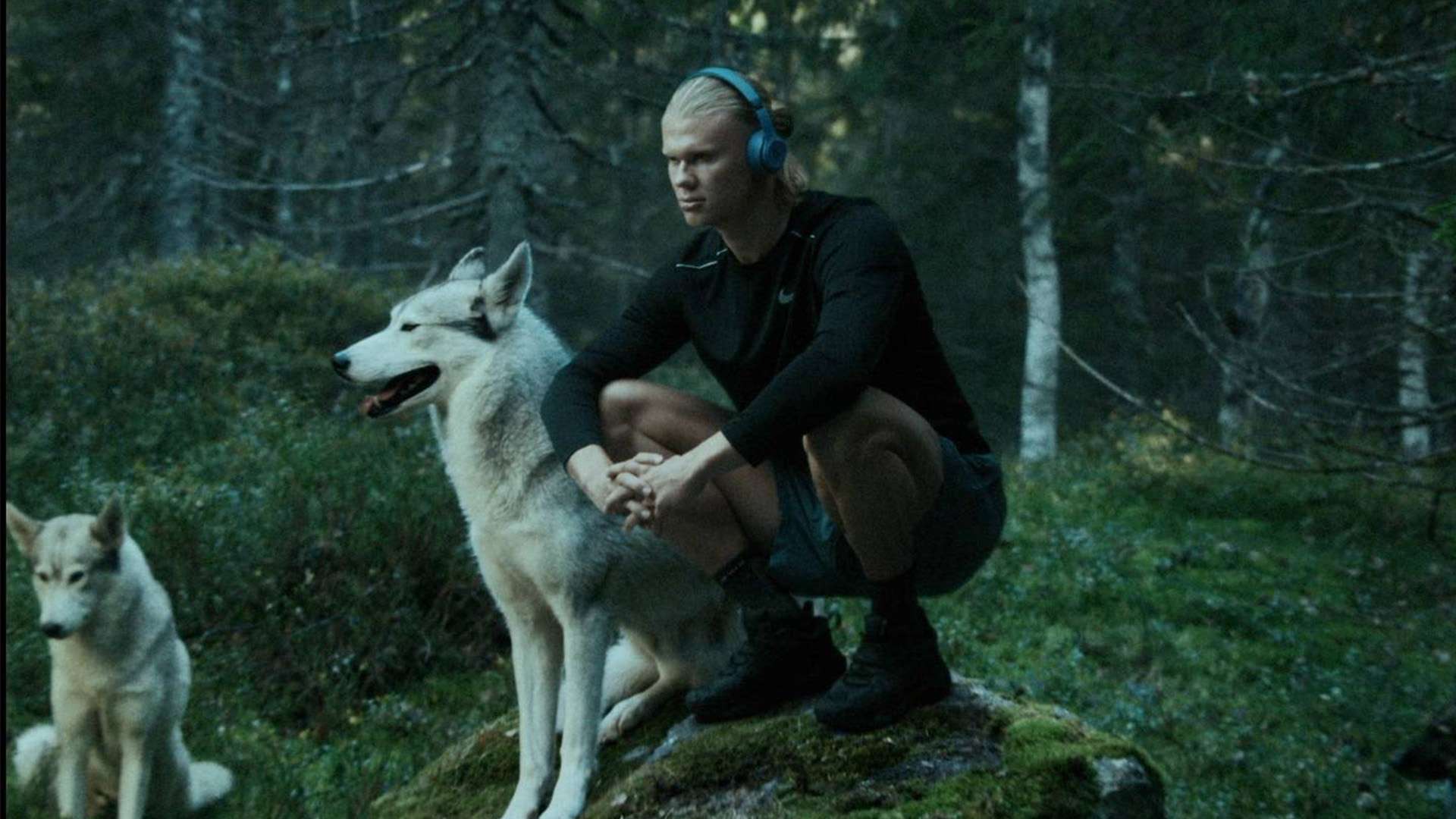 战术选择 战术选择